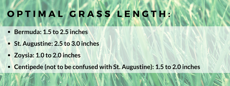 various grass lengths by type